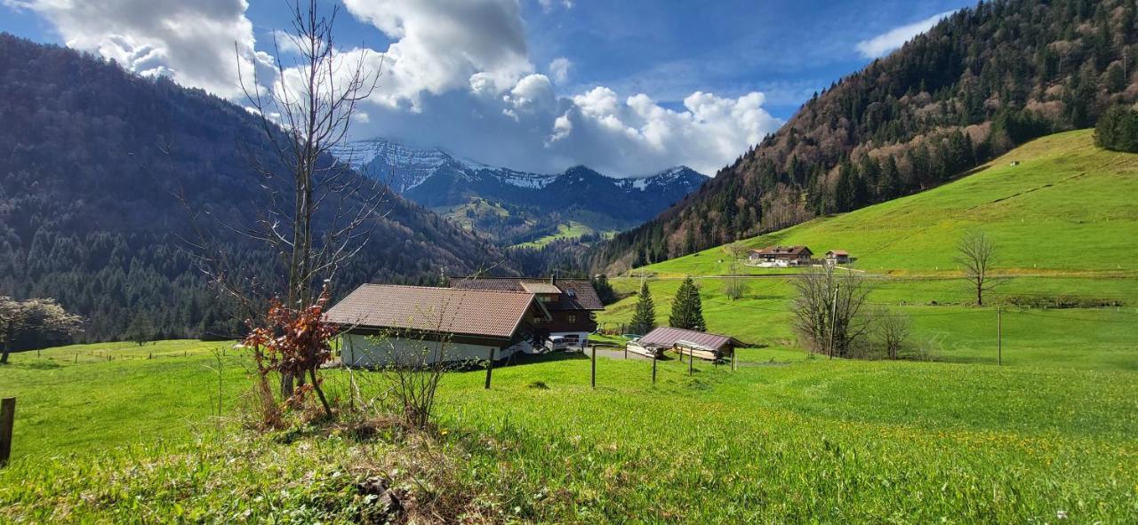 Fewo Allgaeuzeit Mit Wlan Oberstaufen Steibis Buitenkant foto